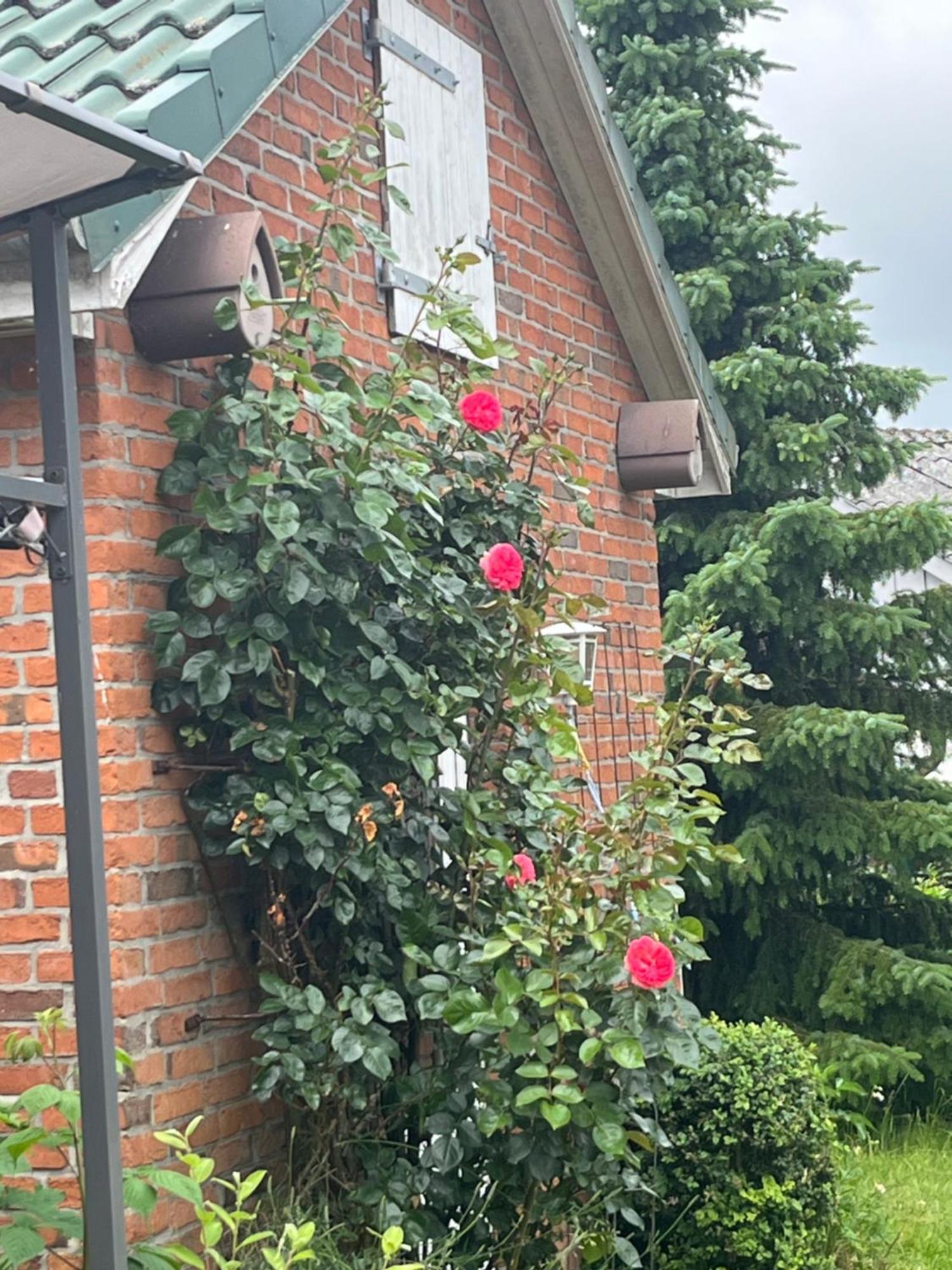 Gartenzimmer Zwischen Den Meeren Ladelund Zewnętrze zdjęcie