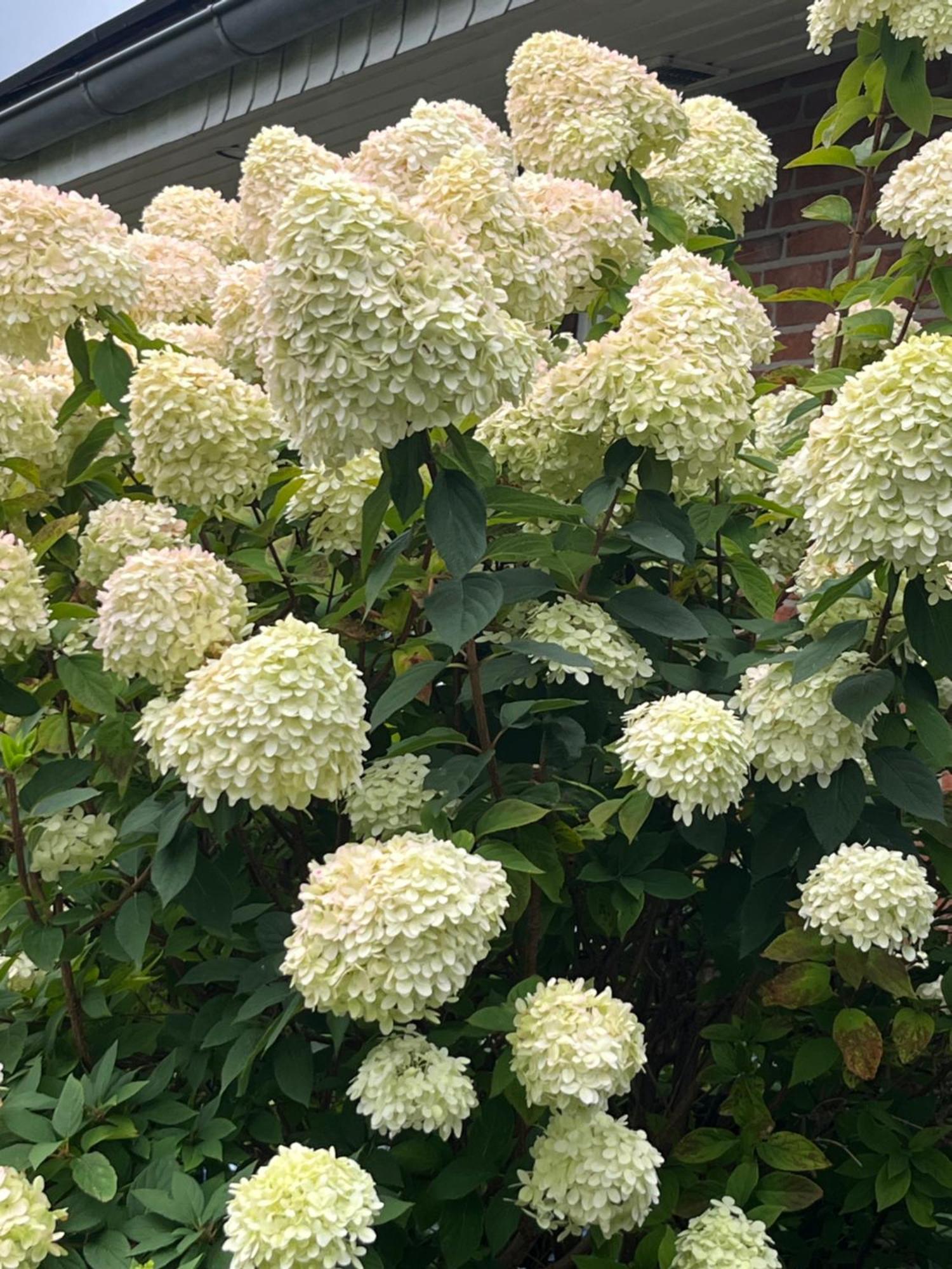 Gartenzimmer Zwischen Den Meeren Ladelund Zewnętrze zdjęcie